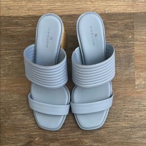 Caslon Women's Blue Slide Sandals